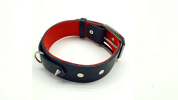  Ошейник Pit Bull B03R (чёрно-красный)